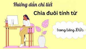 Cách dùng và bài tập khi chia tính từ tiếng Đức